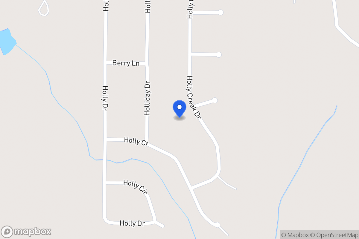 Map of 161 Holly Creek Dr