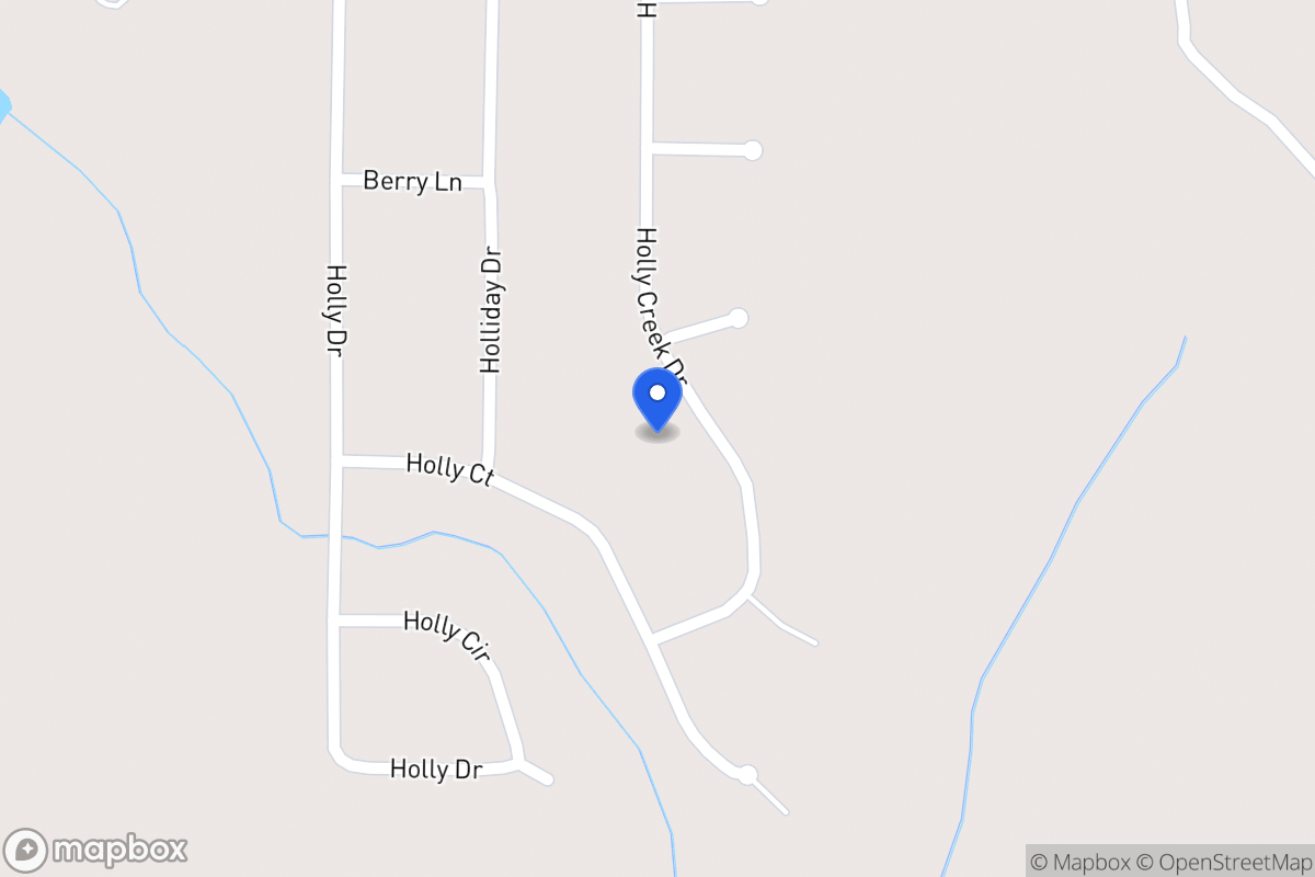 Map of 169 Holly Creek Dr