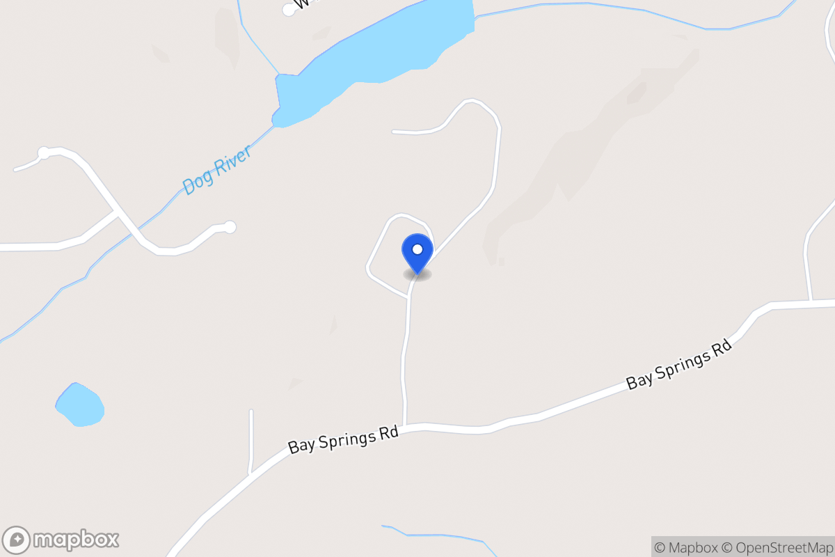 Map of 728 Bay Springs Rd