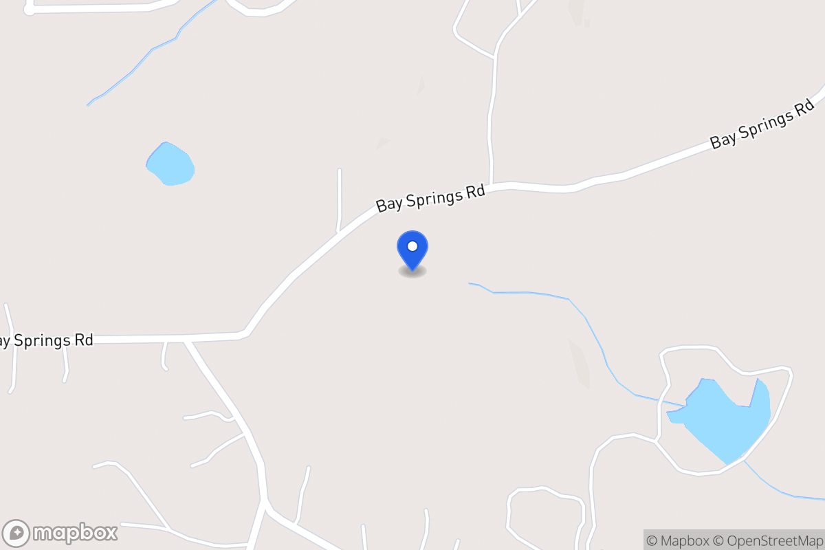 Map of 677 Bay Springs Rd