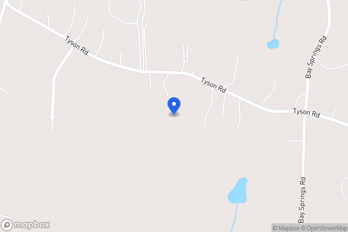 Map of 295 Tyson Rd