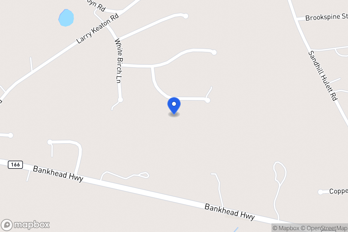 Map of 45 Silver Pine Ct