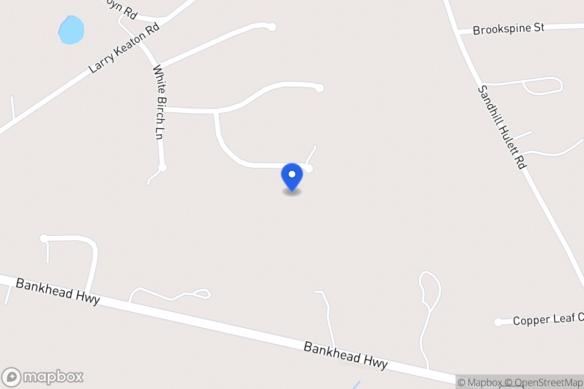 Map of 67 Silver Pine Ct