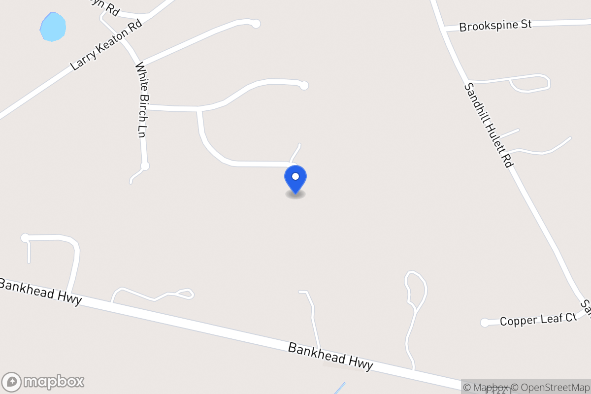Map of 79 Silver Pine Ct