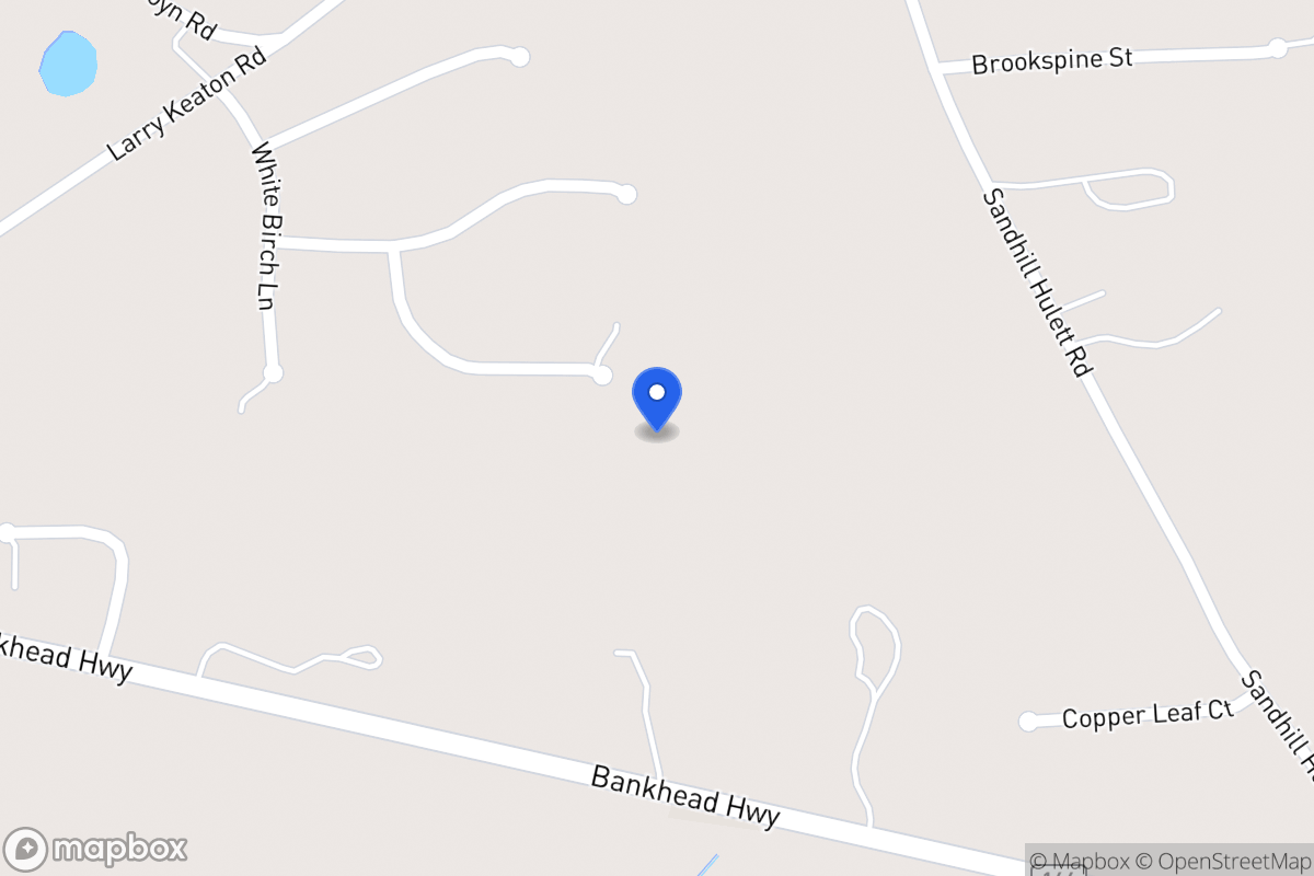 Map of 85 Silver Pine Ct