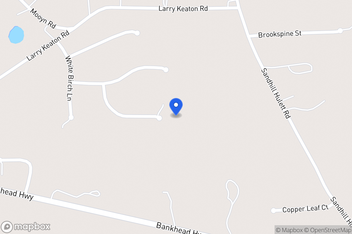 Map of 90 Silver Pine Ct