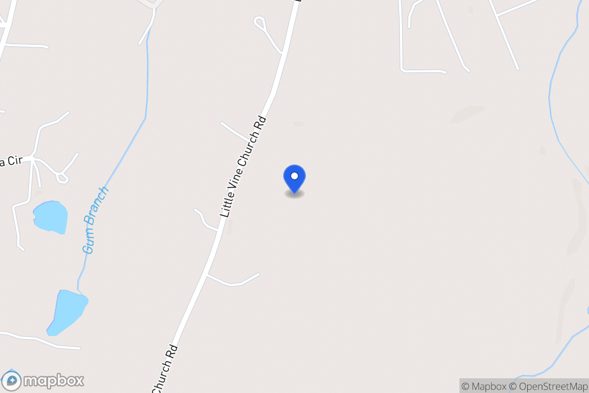 Map of 441 Little Vine Church Rd