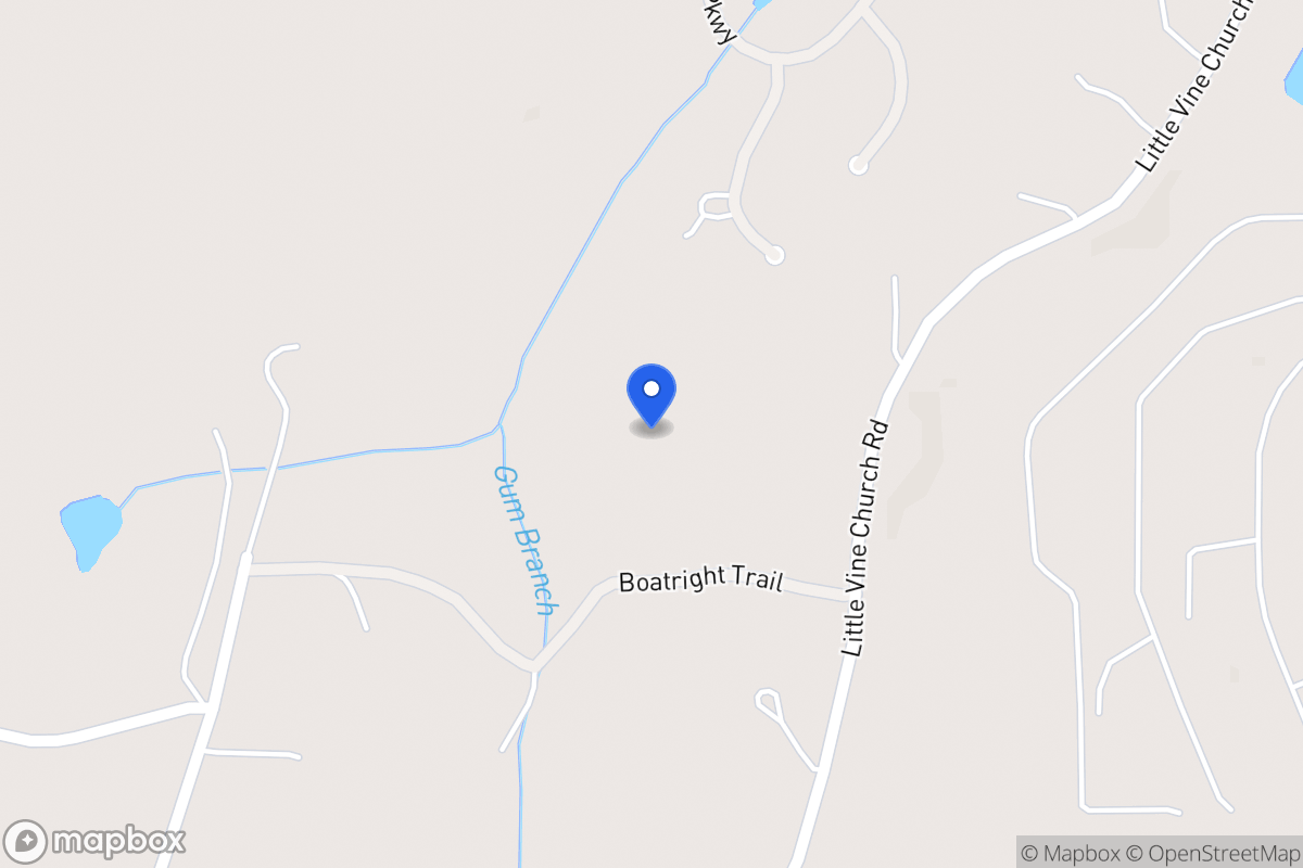 Map of 542 Little Vine Church Rd