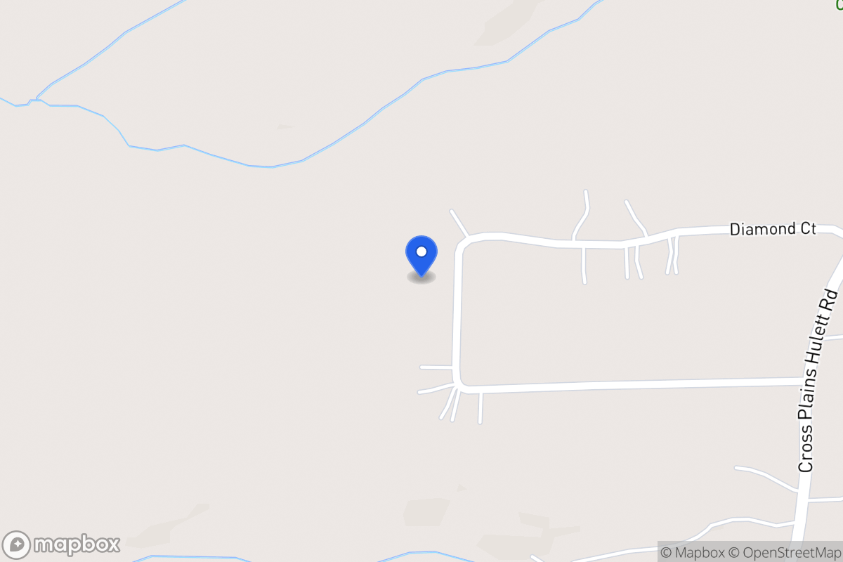 Map of 209 Diamond Ct
