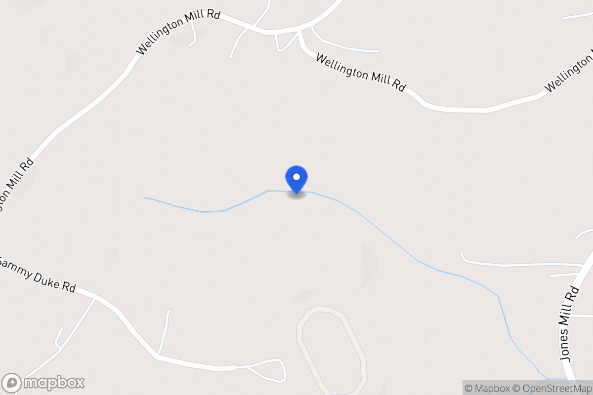 Map of 461 Wellington Mill Rd