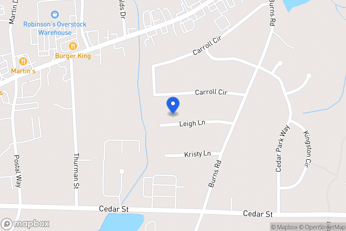 Map of 113 Leigh Ln