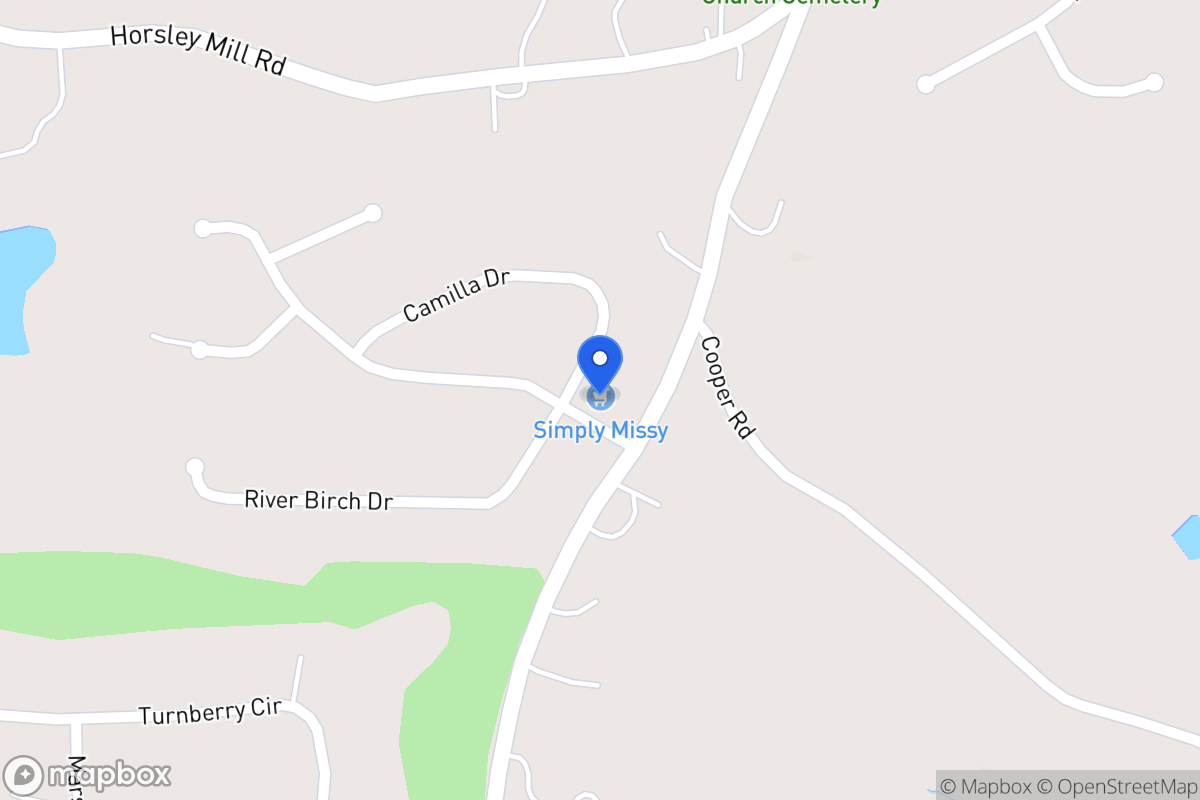 Map of 100 Camilla Dr