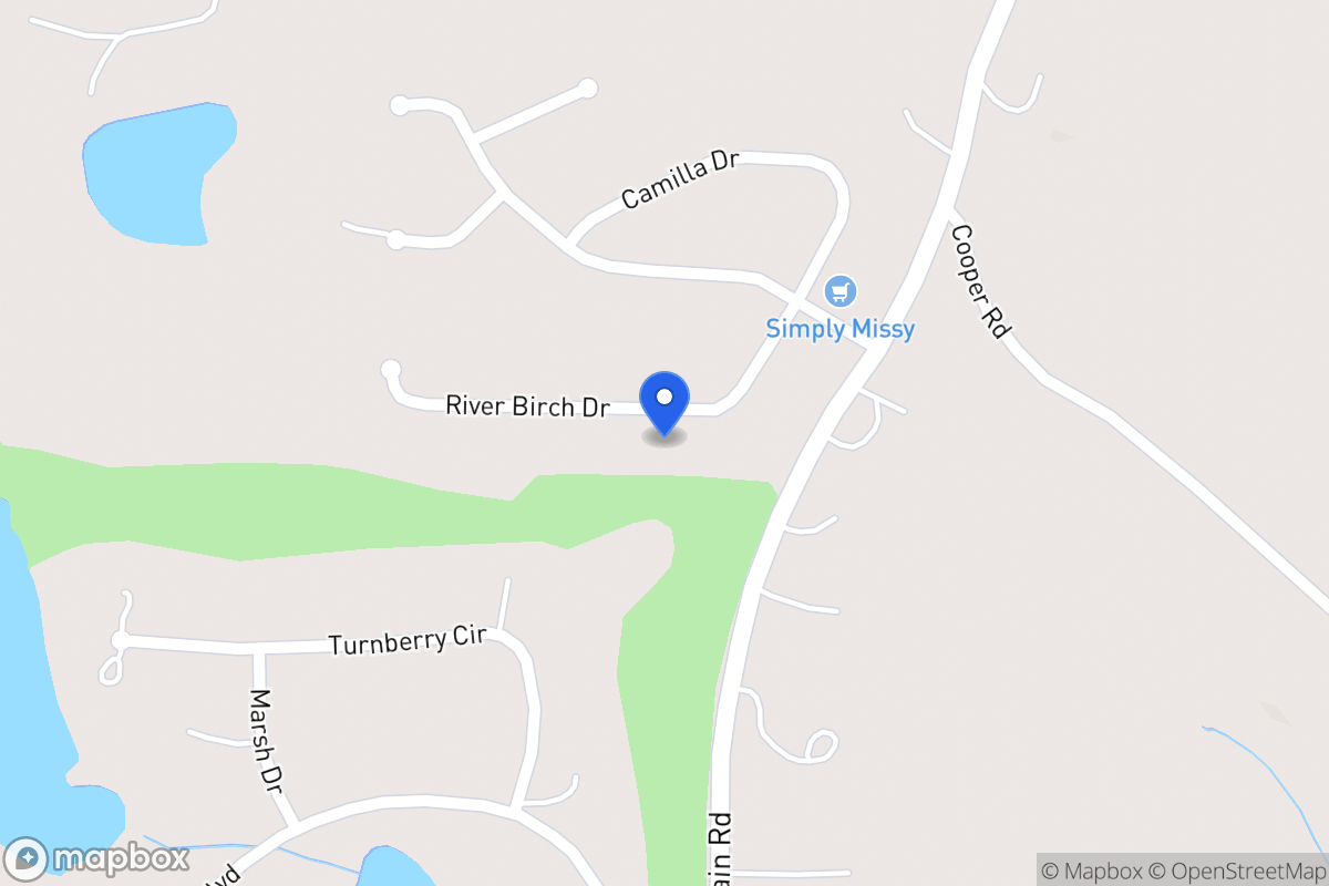 Map of 113 River Birch Dr