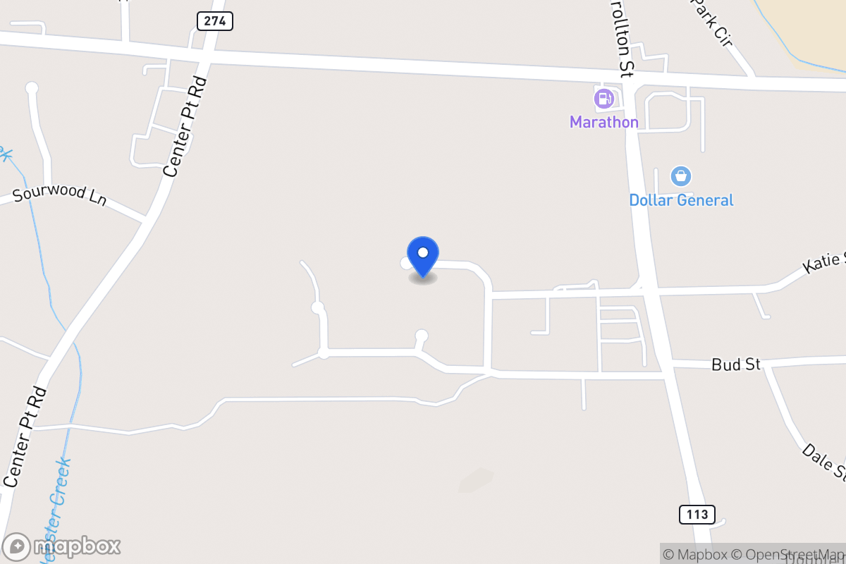 Map of 132 Briarleaf Pl