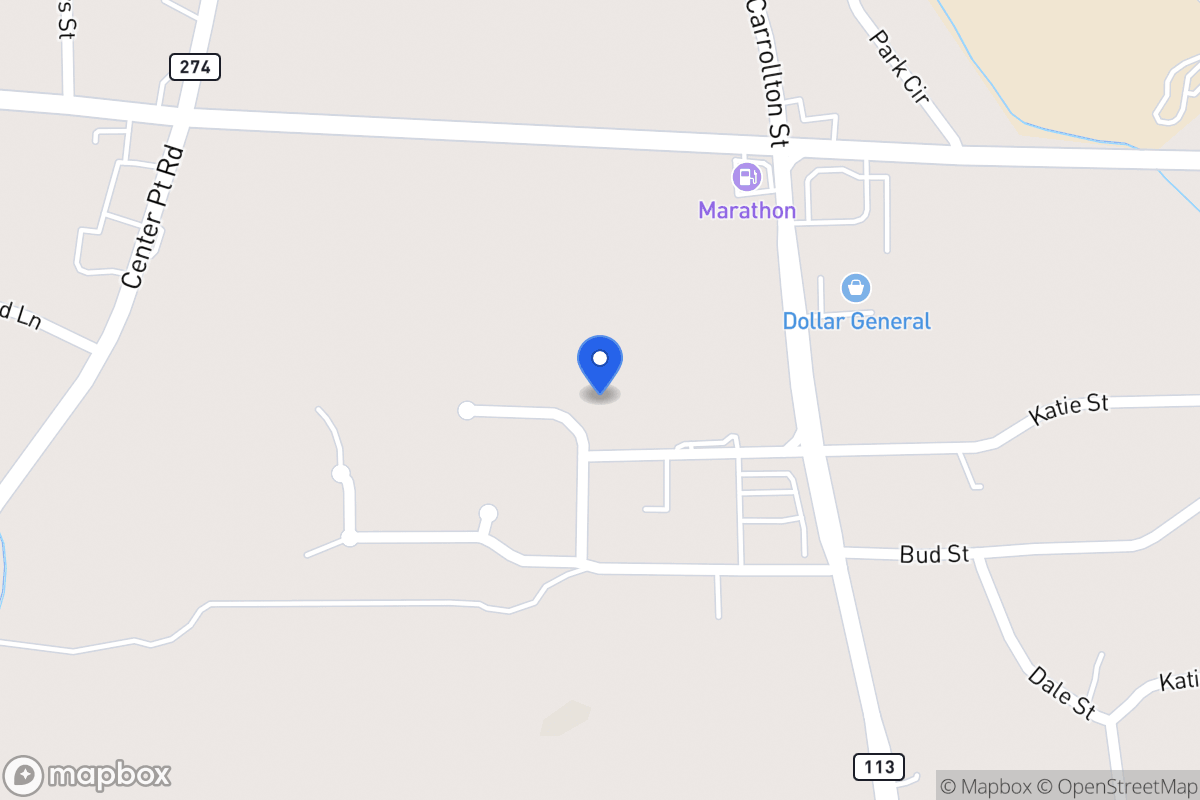 Map of 117 Briarleaf Pl