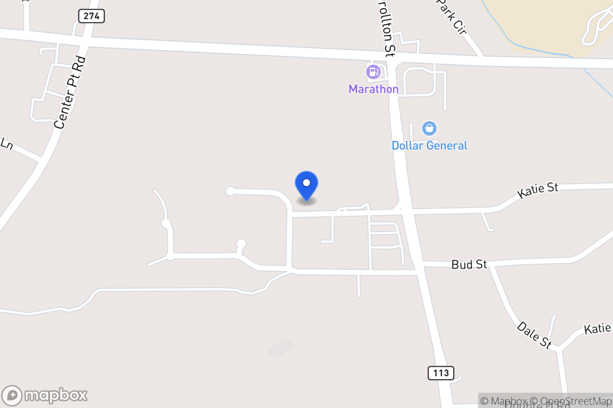 Map of 113 Briarleaf Pl