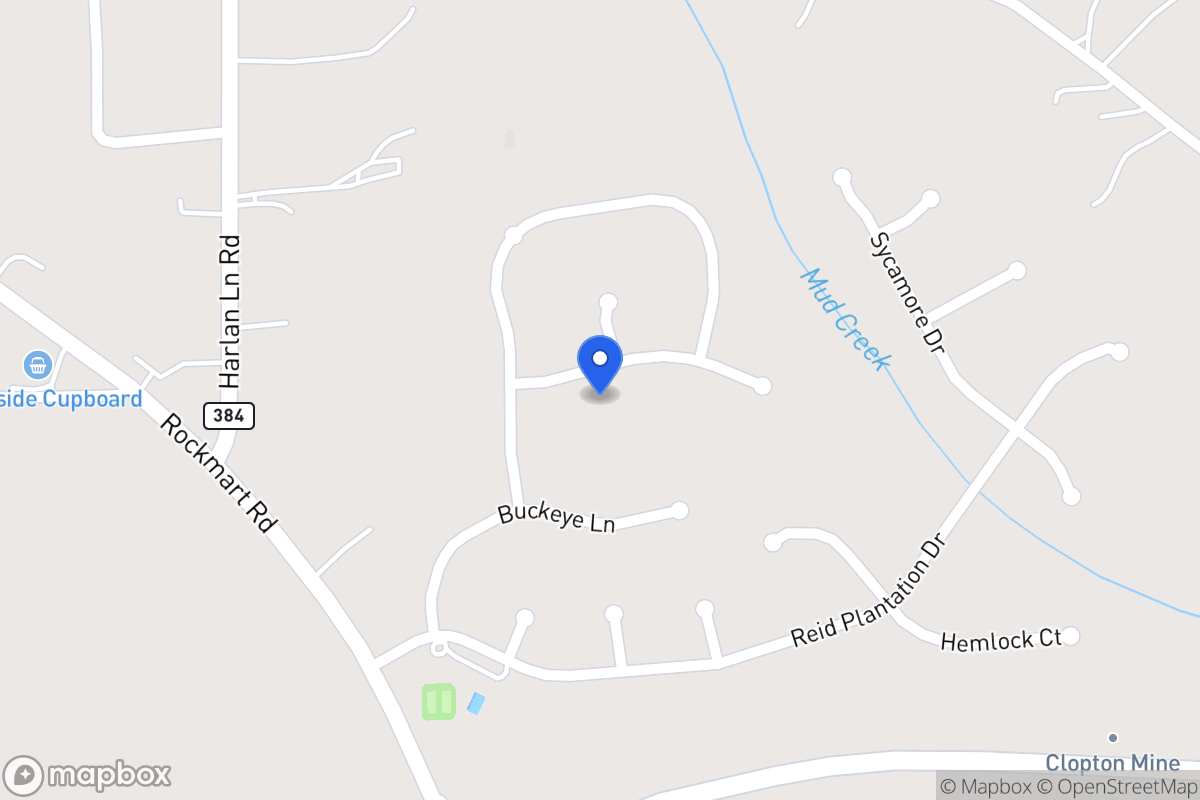 Map of 1207 Palmetto Ln