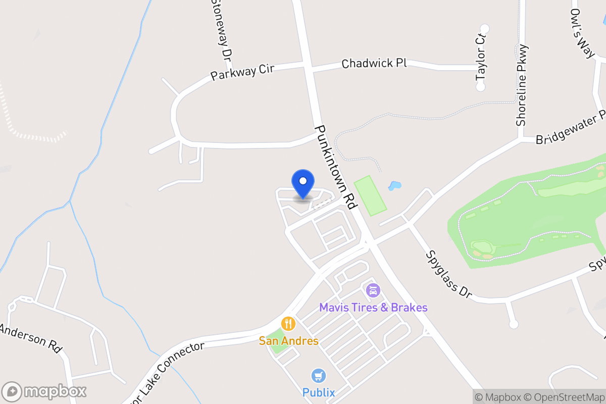 Map of 384 Punkintown Rd