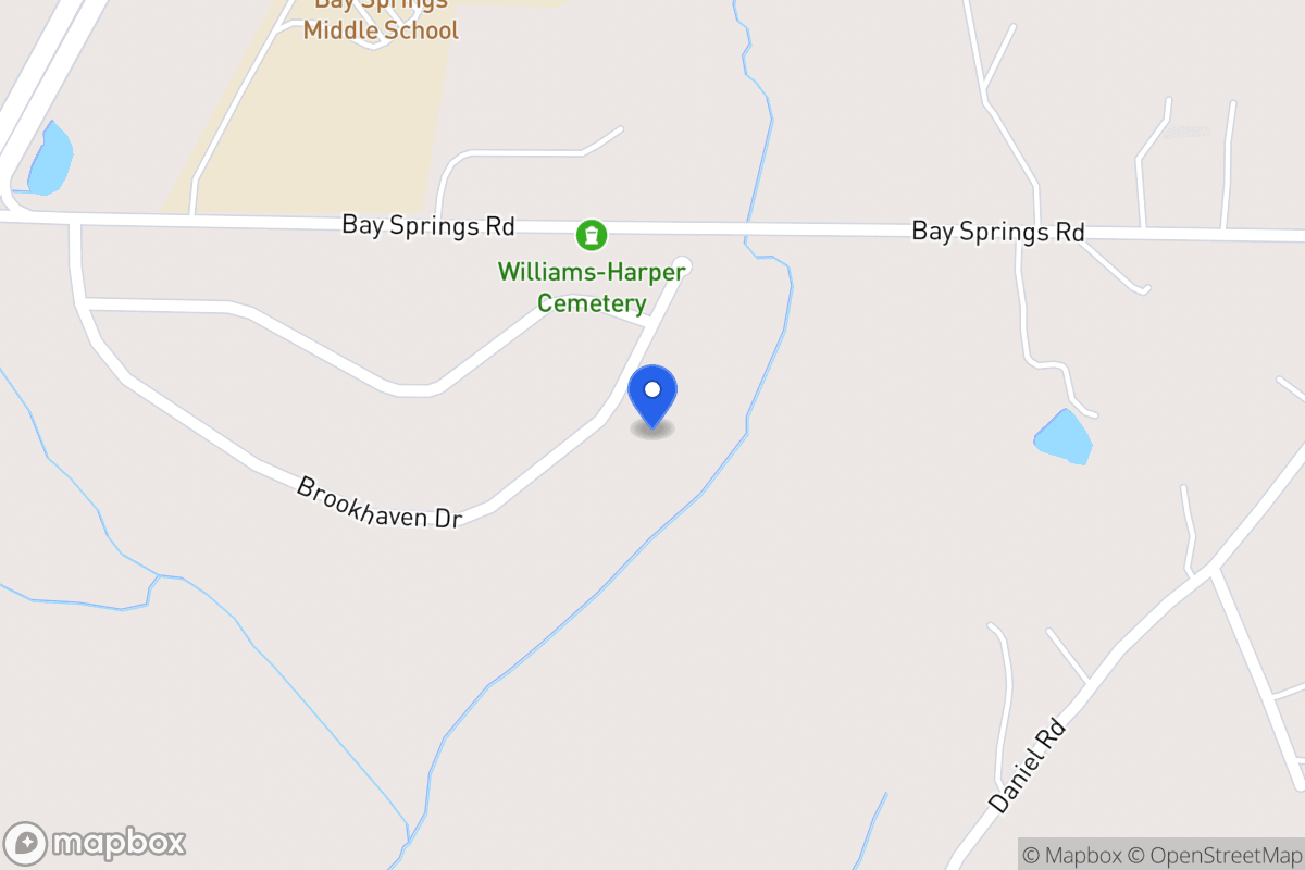 Map of 163 Brookhaven Dr