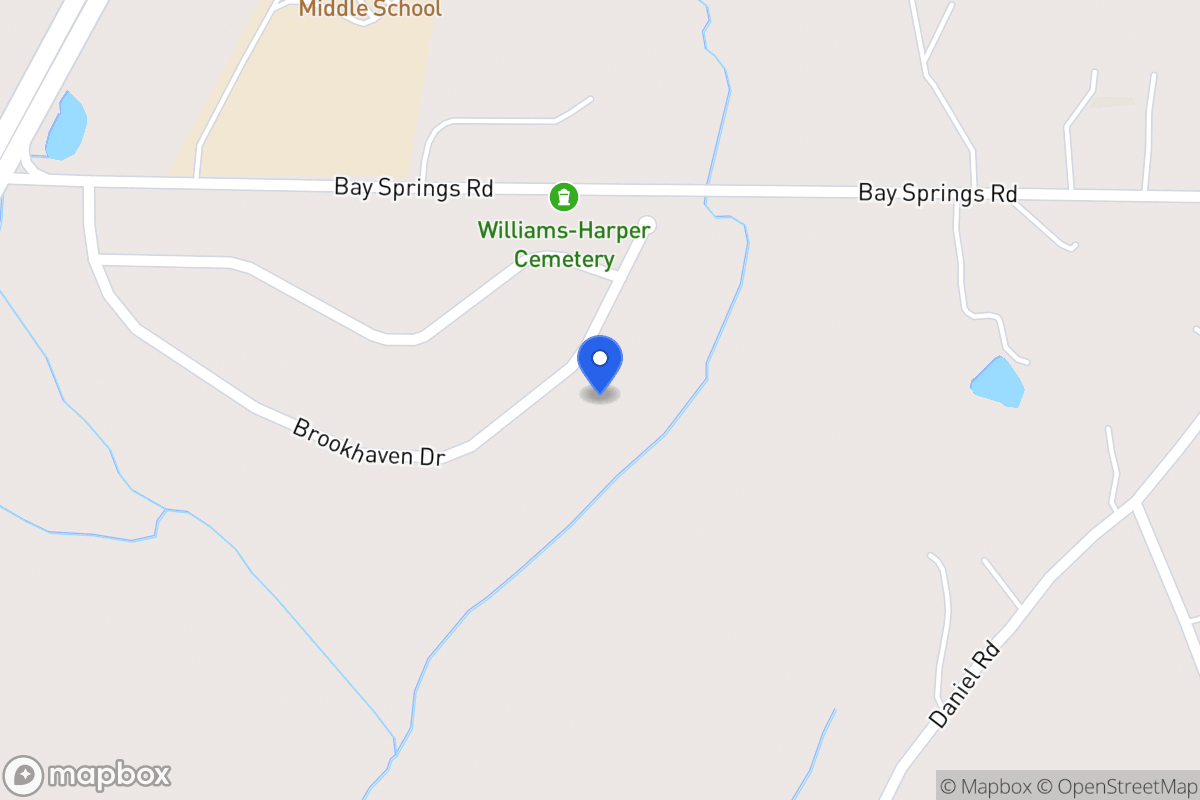 Map of 161 Brookhaven Dr