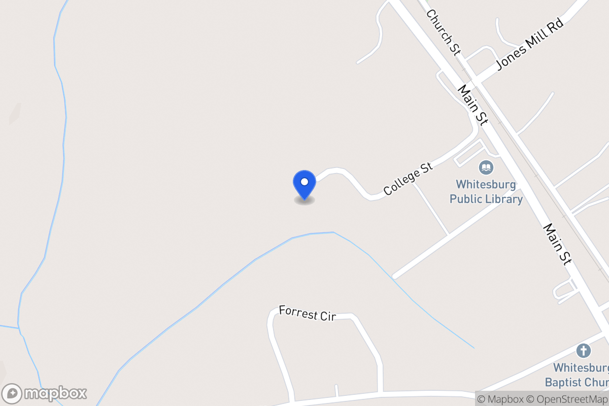 Map of 133 College St