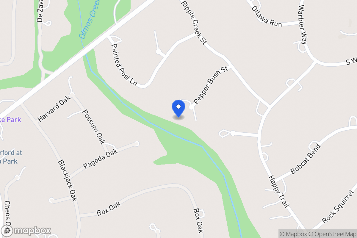 Map of 113  Pepper Bush St