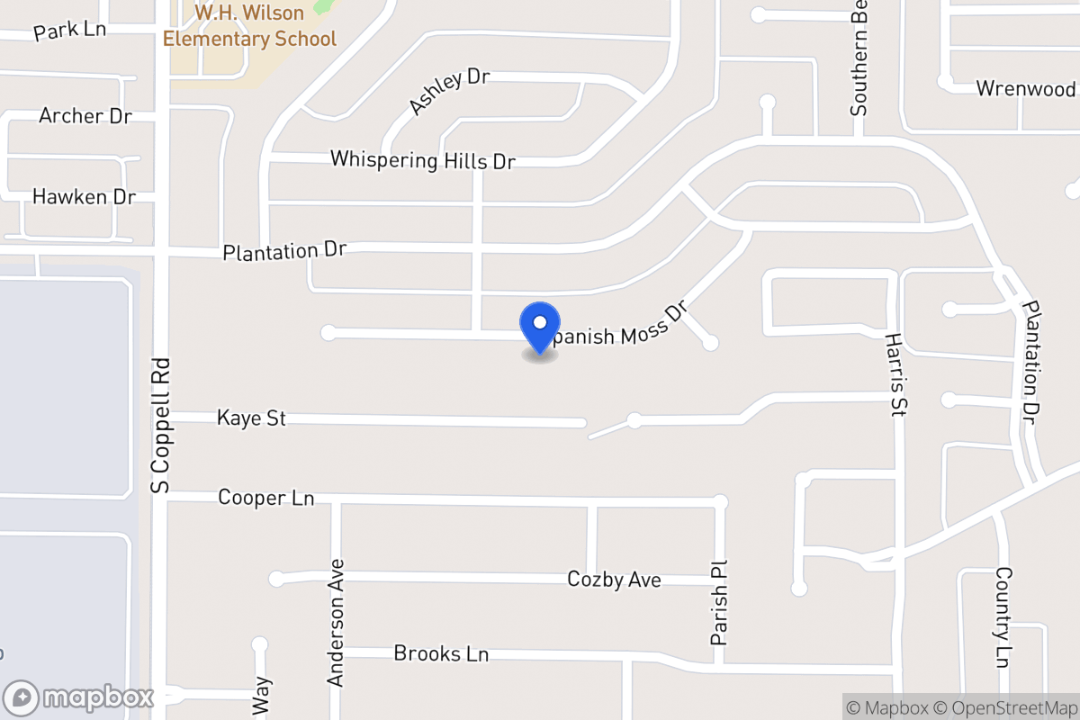 Map of 339 Spanish Moss Dr