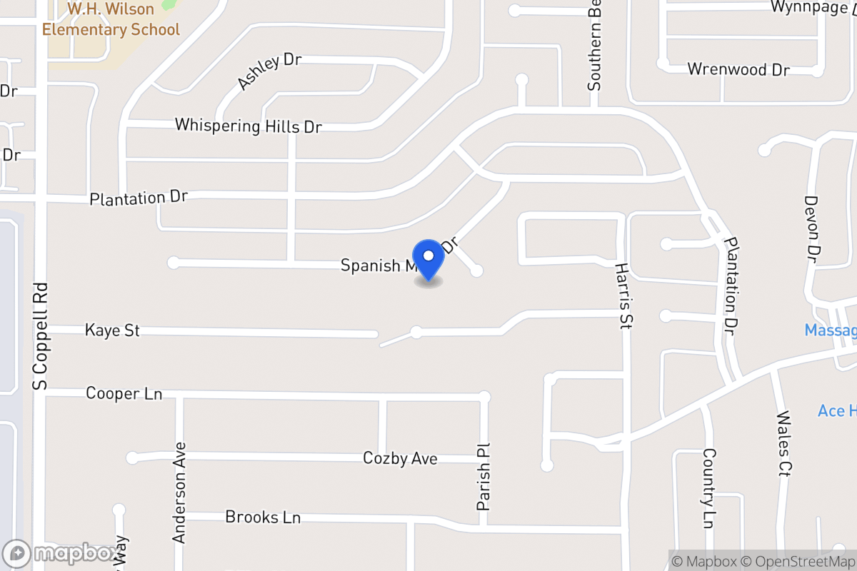 Map of 319 Spanish Moss Dr