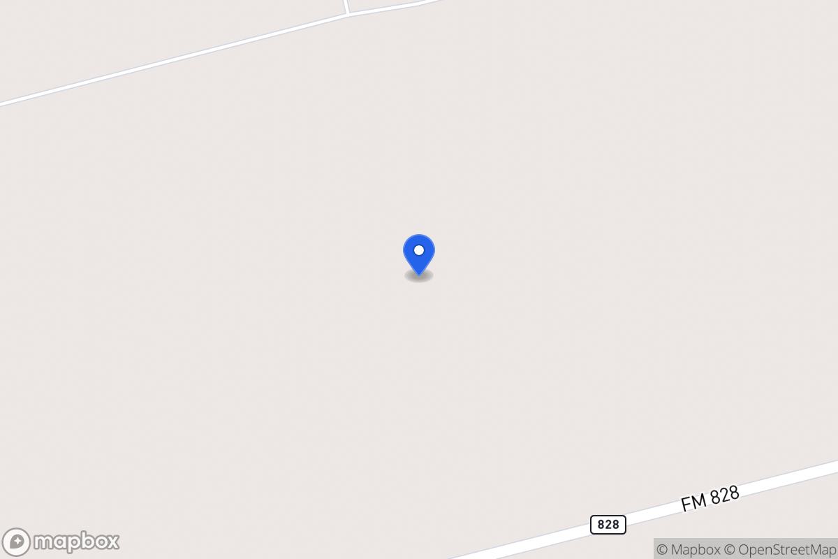 Map of S Hwy 137 & Fm 828