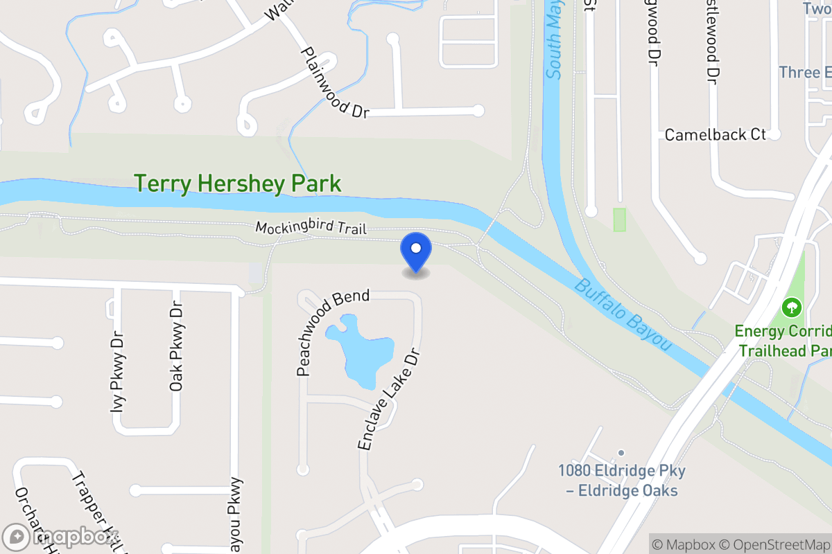 Map of 802 Peachwood Bend Dr, Houston