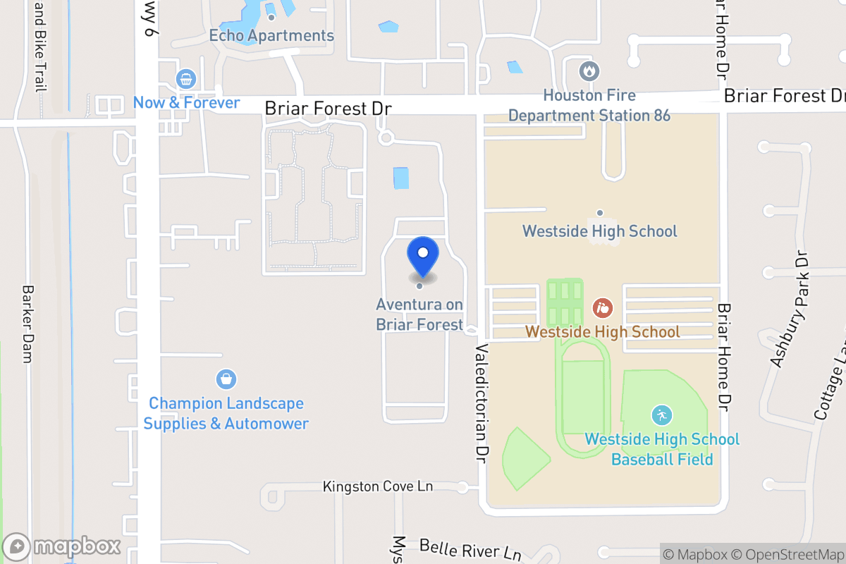 Map of 14515 Briar Forest Dr, Houston