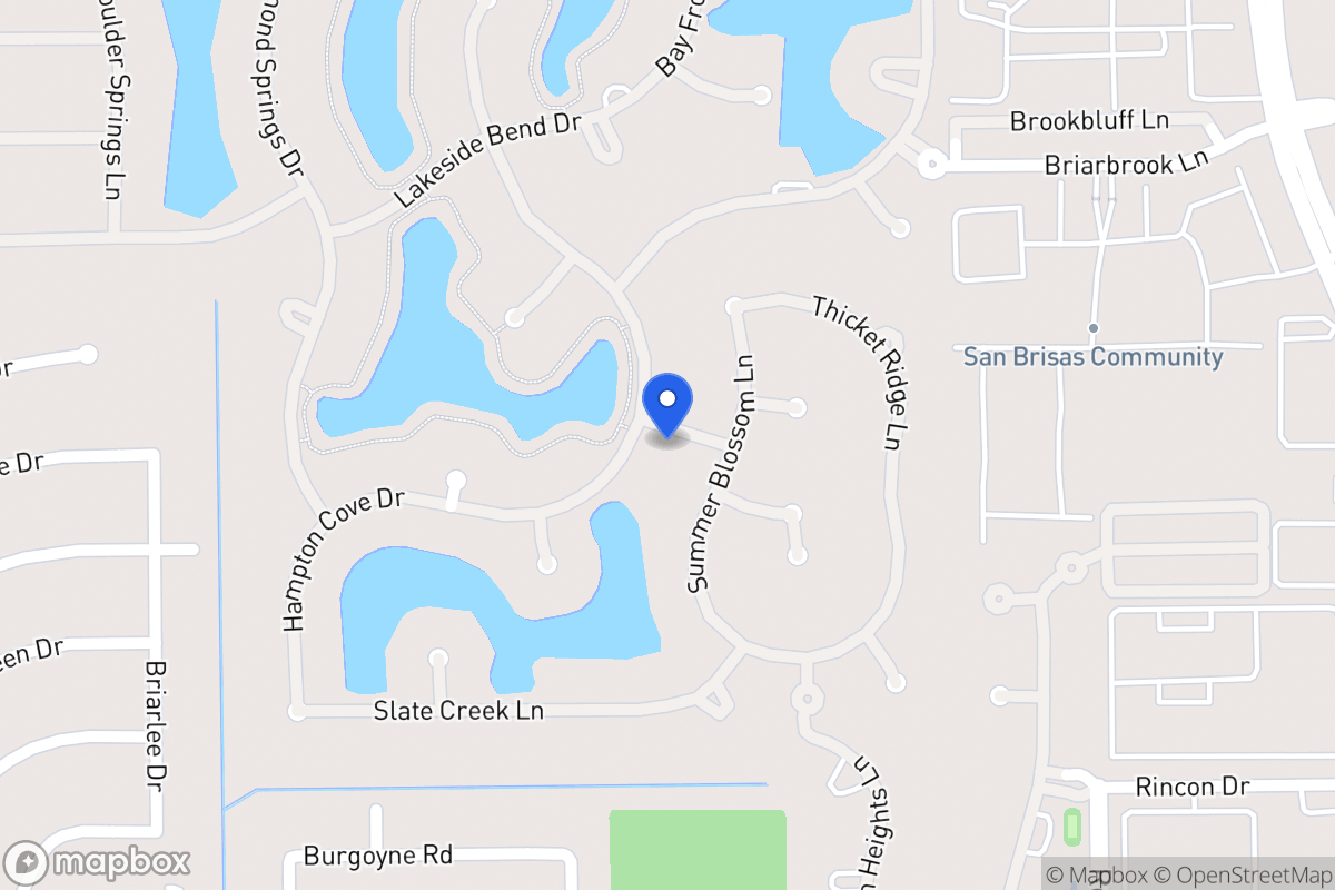 Map of Palmetto Point Ln, Houston